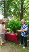 IMG-20250604-WA0008
