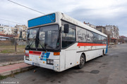 IMG-3117