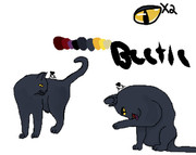 Beetle ref sheet (Made for Distant lands  by Crypto Currency/the hollow cliff/howling on the cliff)