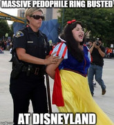 DisneyPedoBust1