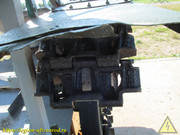 IMG-0946