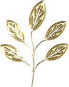 0_17d570_85a40fc7_X5L