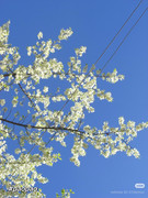 photo 11 2025 12 24 16 31 33