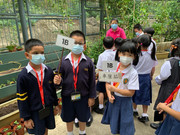 photo-littlefarmer2122-005