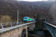 IMG-1494