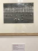 IMG-0473