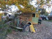 IMG-8537.jpg