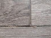 IMG-20210127-124855