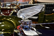 fullsizeoutput-19c7.jpg