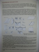 IMG-3726.jpg