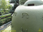 IMG-3169
