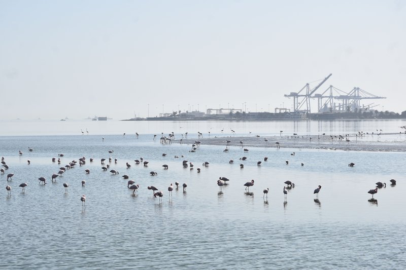 Африканские каникулы - зверики Крюгера, пески Намибии, воды Виктории