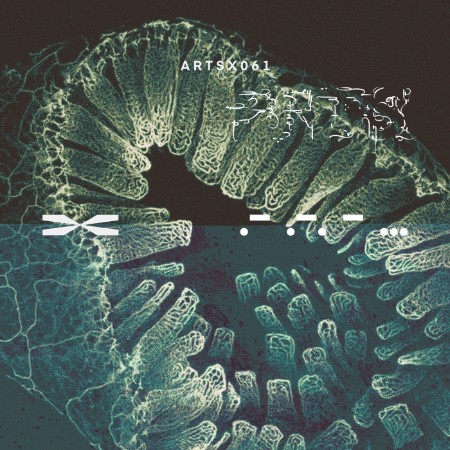 DBFB - Bare Roots EP (2025)