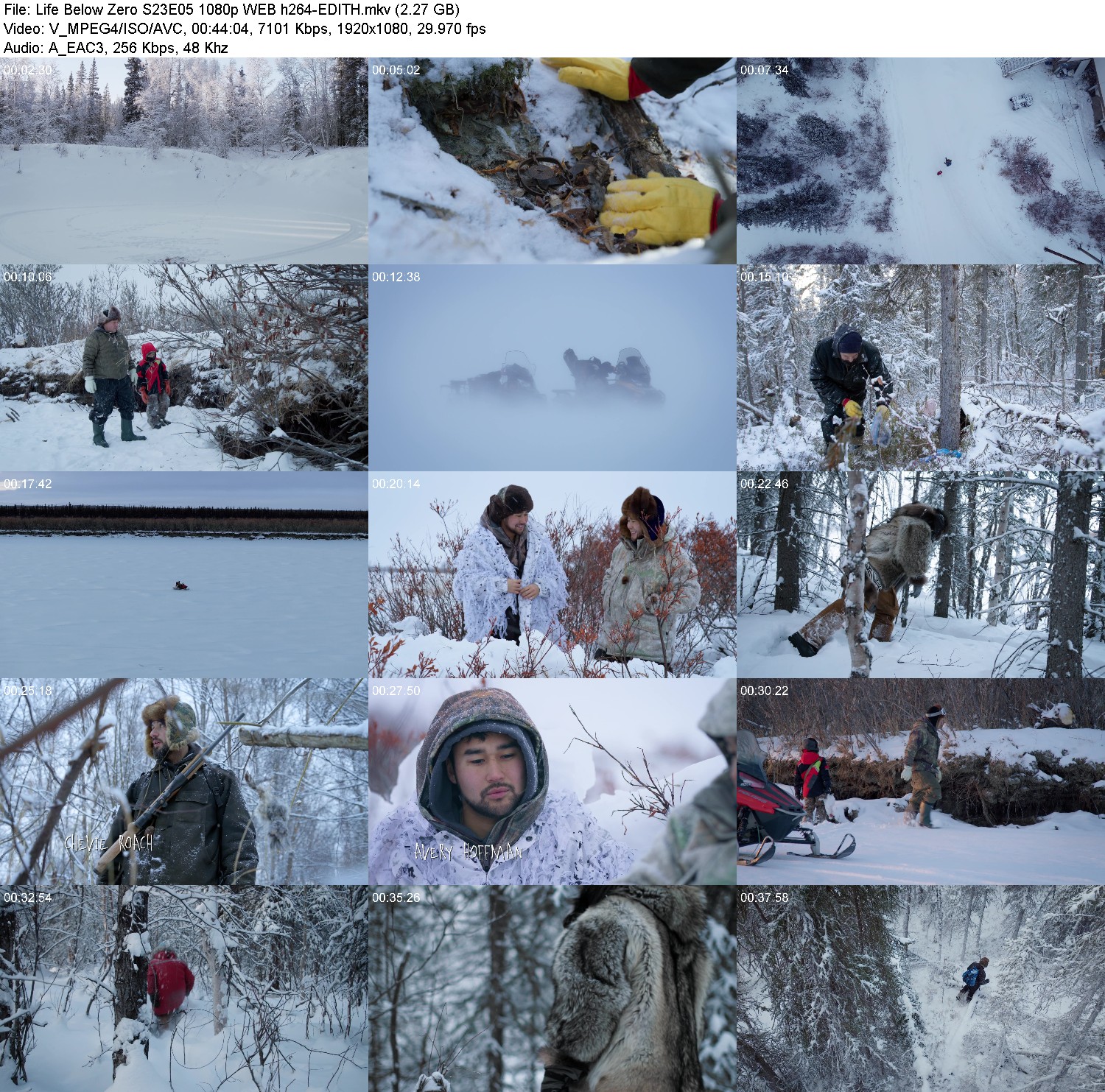 [Image: id50f9sm9cca.jpg]