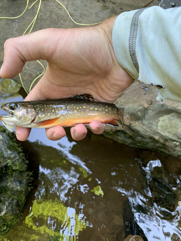 7E5B08F5-B022-4E99-B827-E3683240D6DE