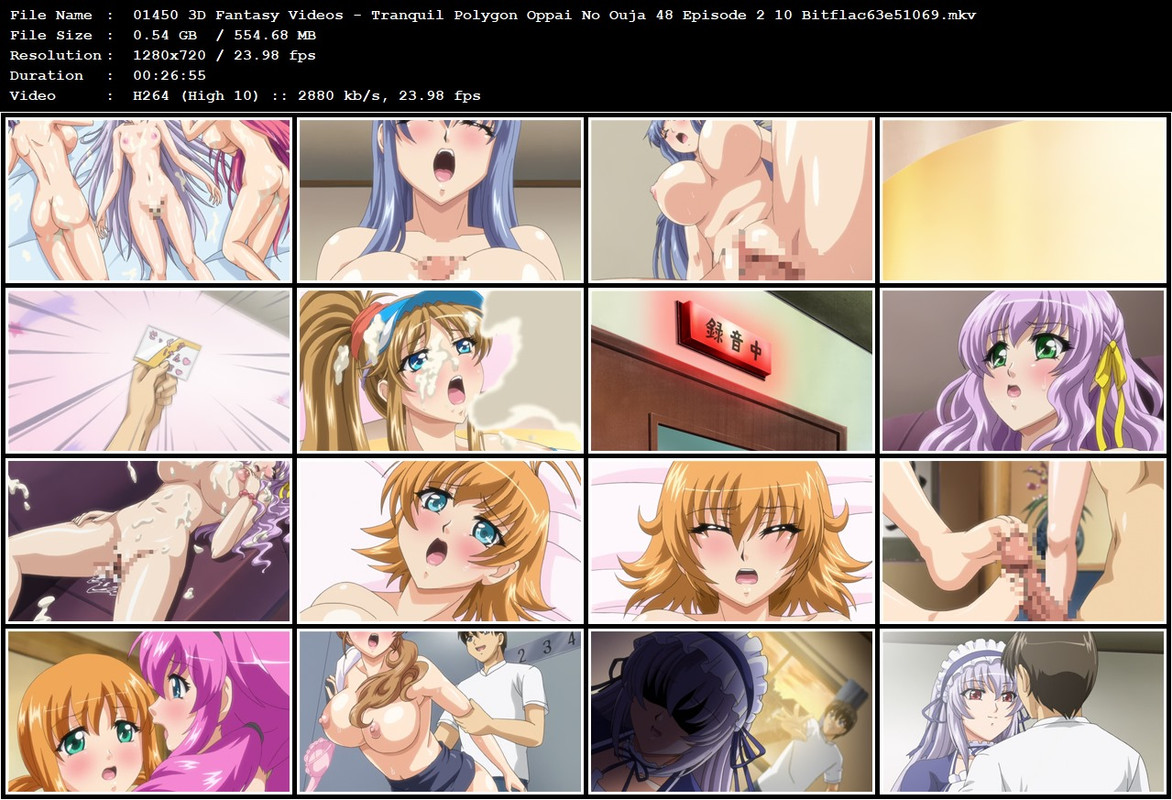 01450 3D Fantasy Videos - Tranquil Polygon Oppai No Ouja 48 Episode 2 10 Bitflac63e51069.mkv