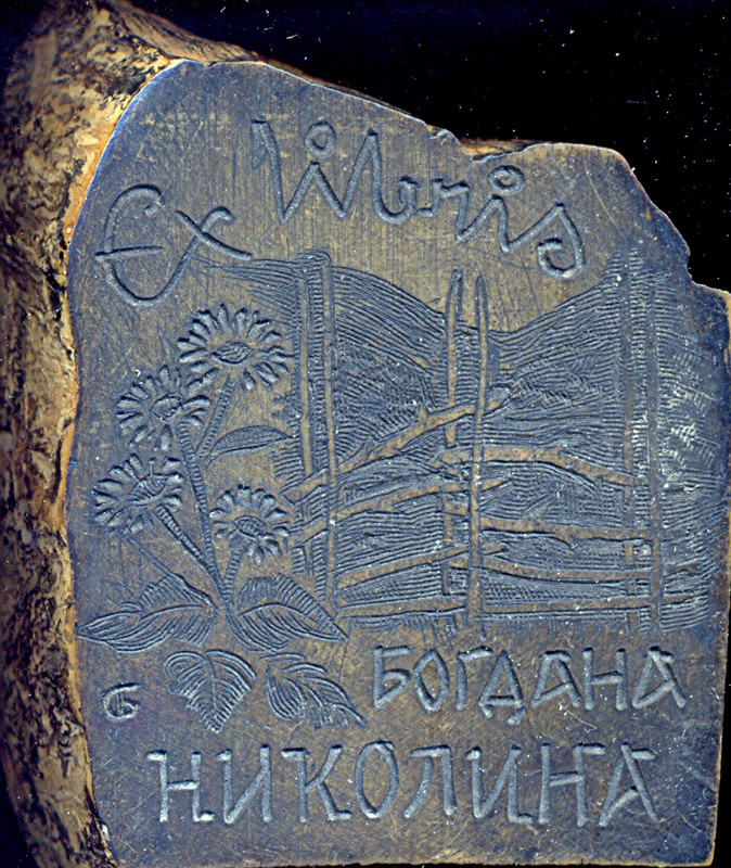 Богдана Николина