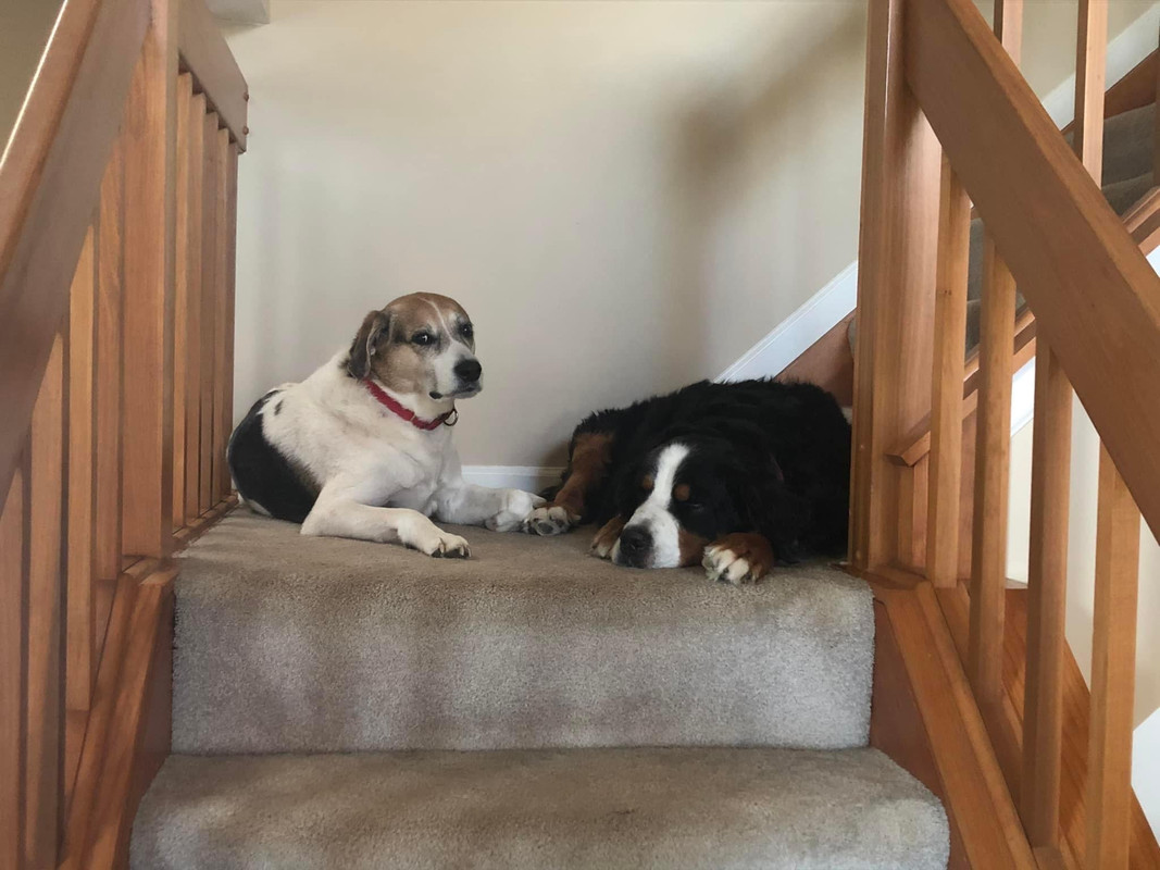 97F90645-7513-4189-A26E-00F8FBA8B197