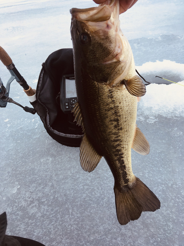 2F3B982C-73DC-469C-AB24-66D9746FDE2A