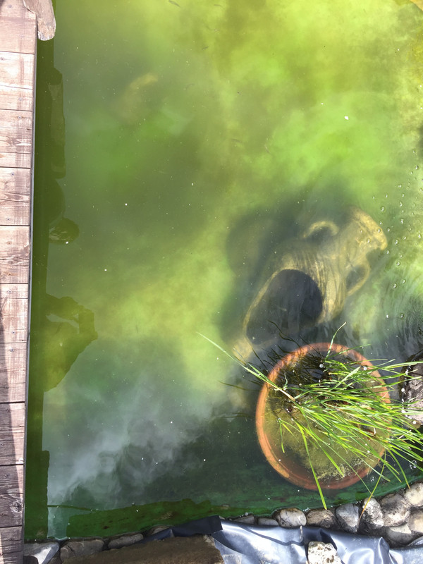 2B4B929B-09E1-426F-9074-02778F6DD5A0