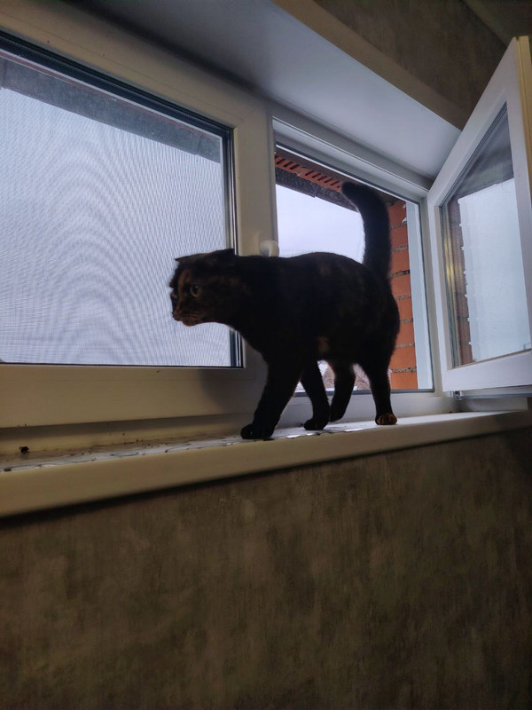 9photo 2025 12 01 14 37 38 (3)