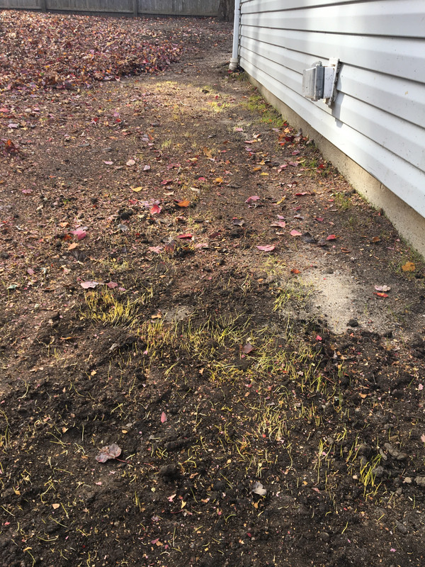 521FF35A-6C03-43D1-8755-2B47373D4570