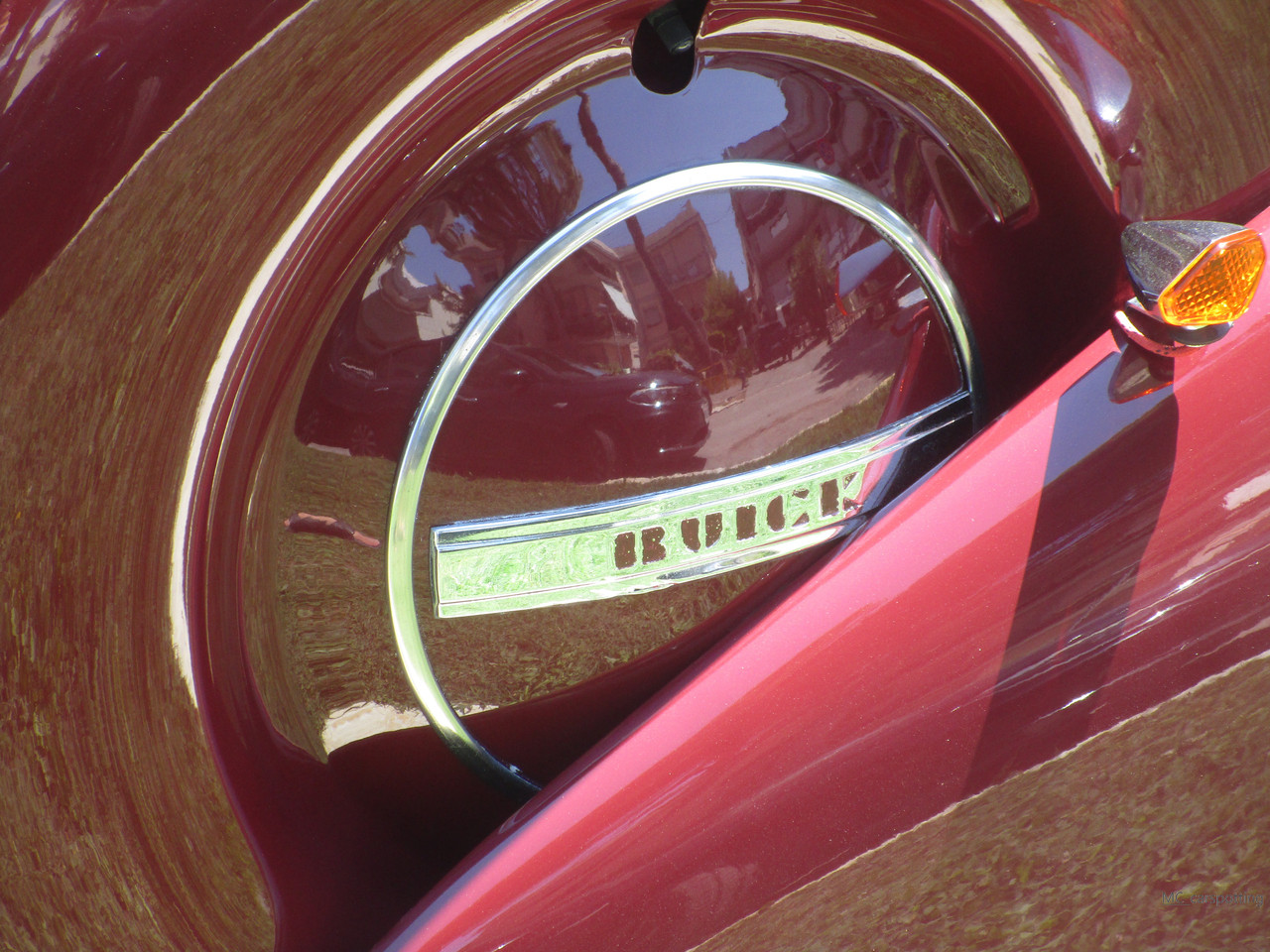 IMG-8906.jpg