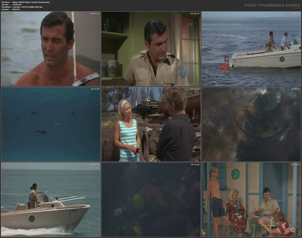 Flipper S02E01 Flipper and the Mermaid.mkv