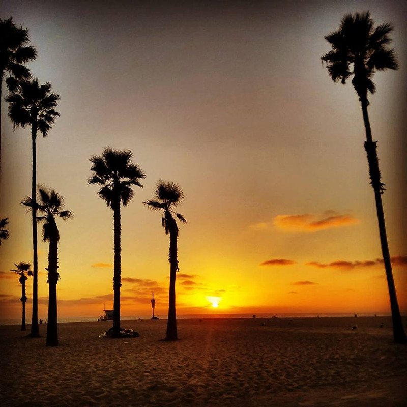 VENICE BEACH