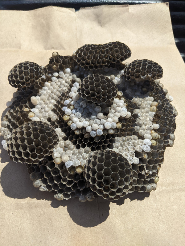 PXL_20230720_222326872