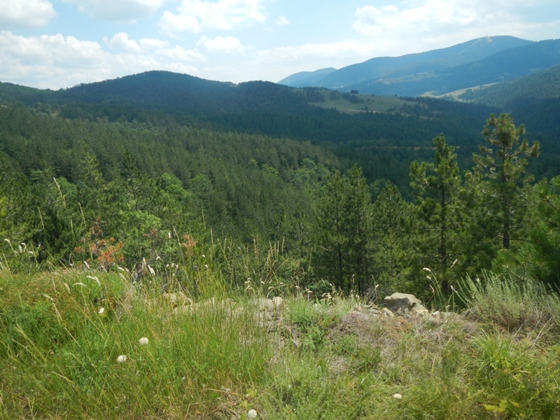 Zlatibor juli 2013 (69)