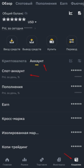 article content image