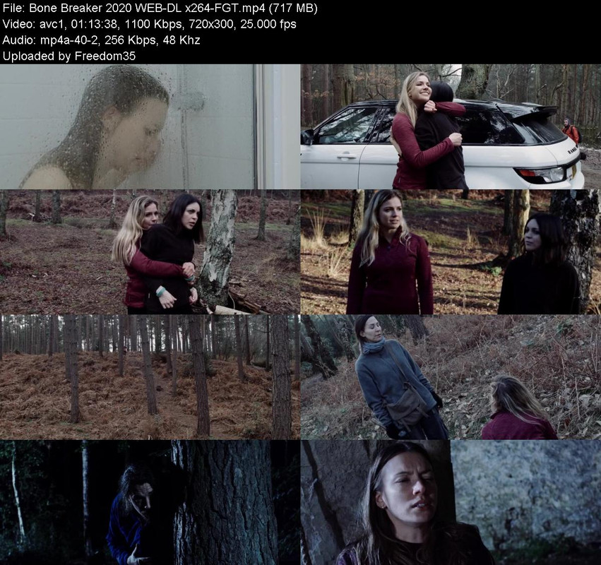 Bone-Breaker-2020-WEB-DL-x264-FGT.jpg