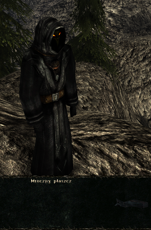 pancerze i ubrania (3)