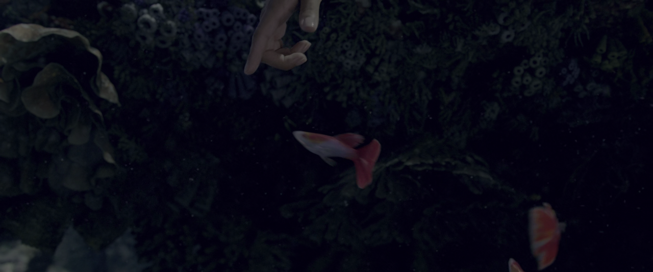 vlcsnap-2025-03-13-12h06m09s684