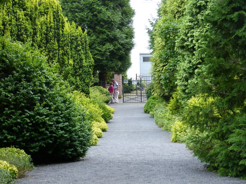 2014-07-13 Arboretum Härle 12