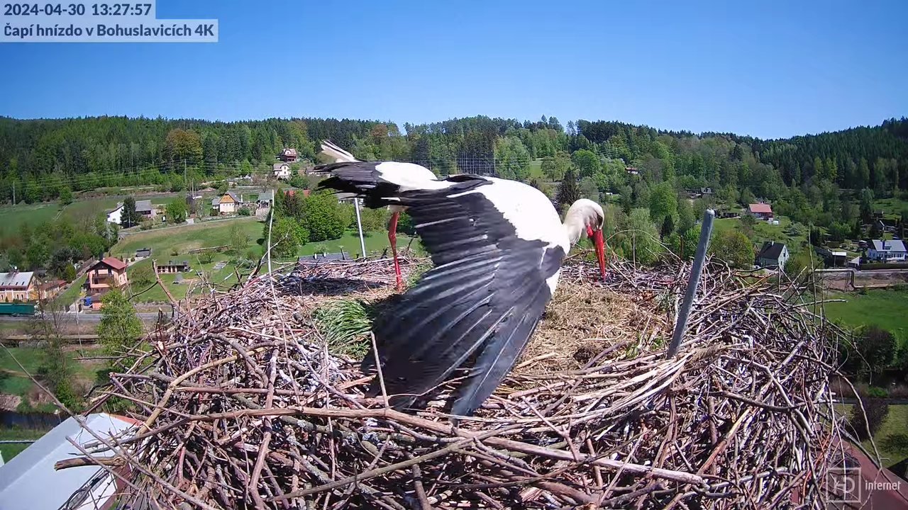 Tiešraidē no uzņēmuma KARA stārķa skursteņa Bohuslavicē pie Trutnovas 11-42-31 screenshot (1)