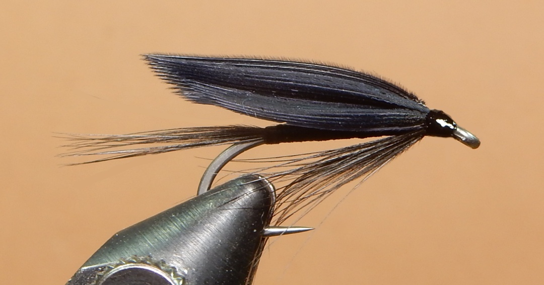 Raven-1080.jpg