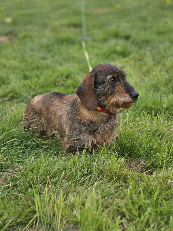 [Image: IMG-20240325-WA0017.jpg]