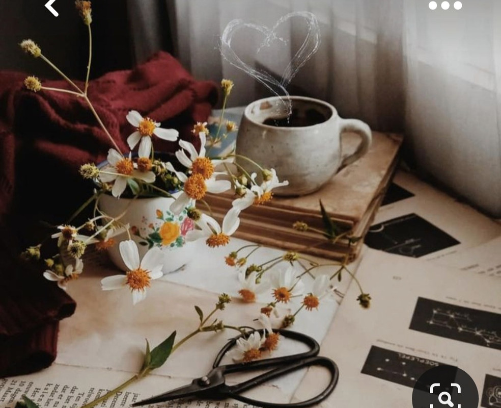 Screenshot_20230616_140951_Pinterest