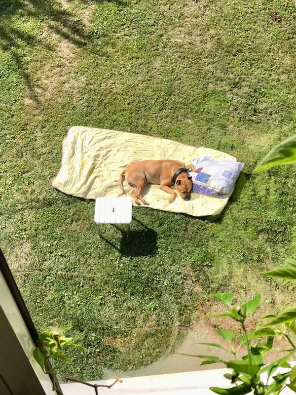 WhatsApp Image 2022-08-27 at 10.39.00 (1)