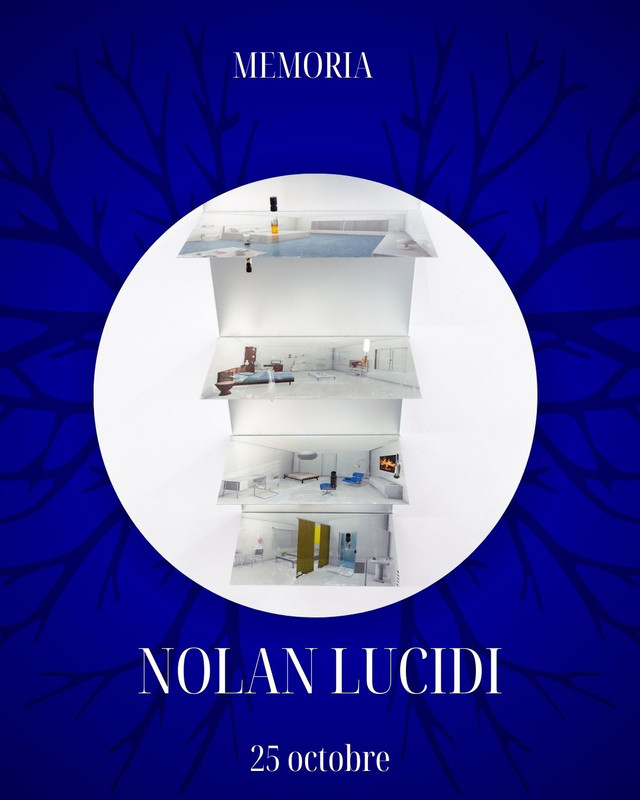 Nolan Lucidi