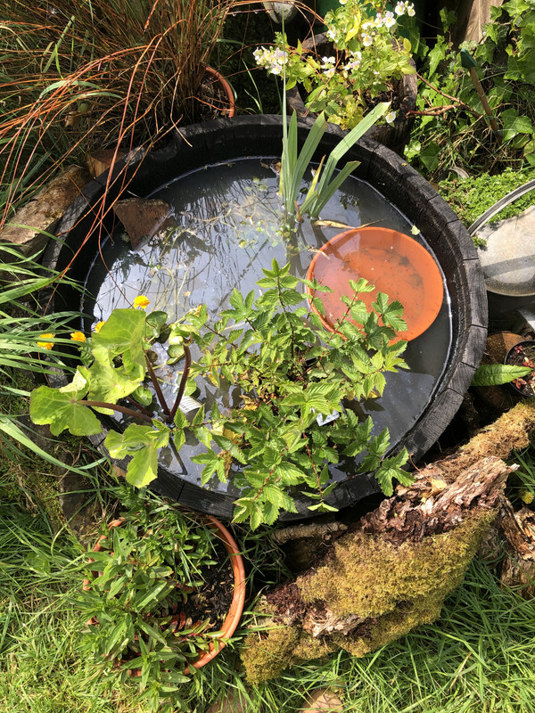 FCB1ED19-4398-46AE-AB6B-86F3FDC42D39