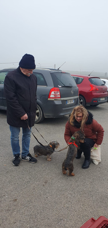 [Image: IMG-20221210-WA0003.jpg]