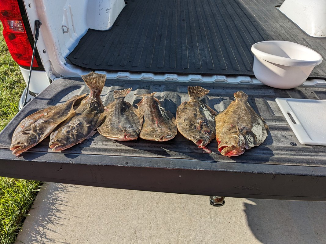 PXL_20230910_132856059