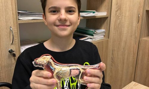 Практичні заняття