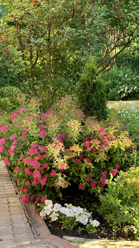 471C7A06-5656-464F-A682-979531F8E343