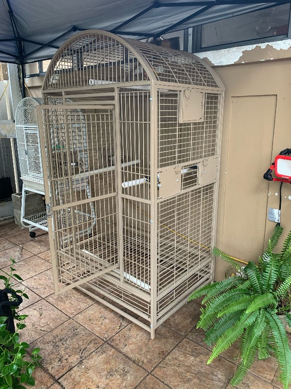 image2(4)_copy_604x805