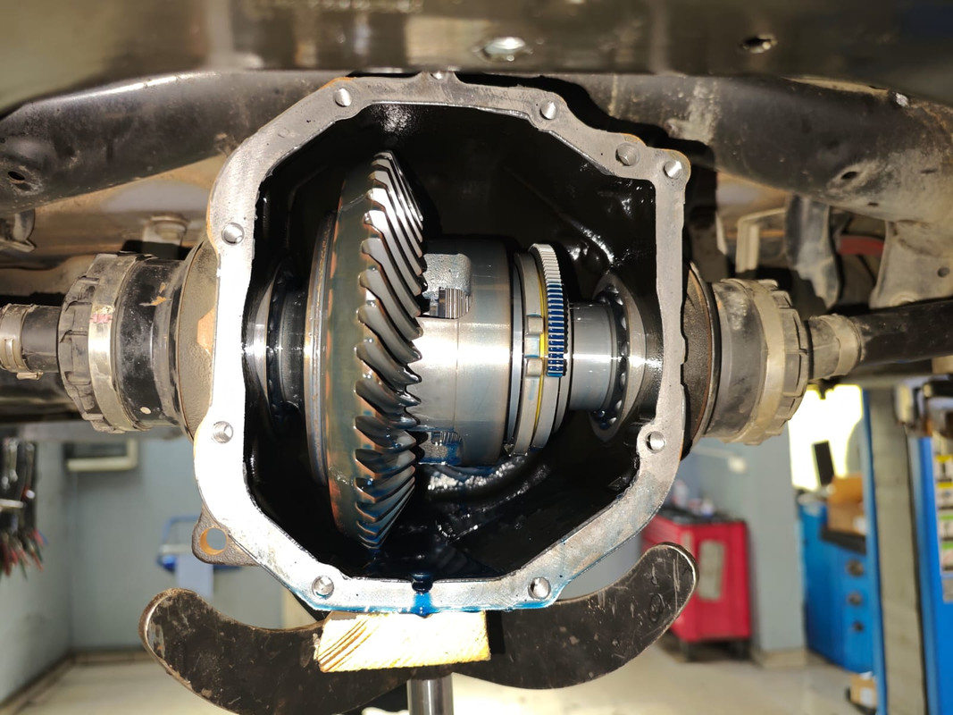 Zdjęcie WhatsApp 2025-04-11 o 13.49.43_f7c9b8ea