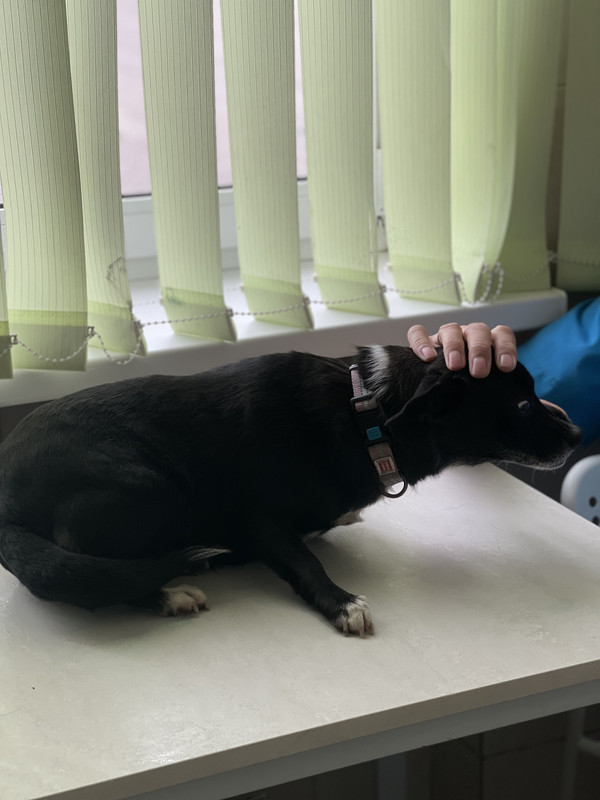 4E2084CC-0BE0-4E5F-90C9-8BFF9B02E9CB